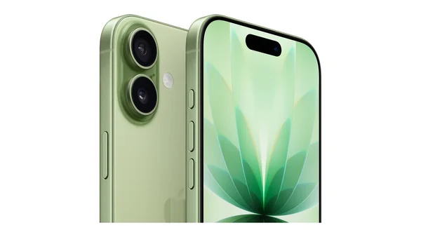 iPhone 17 256GB Sage