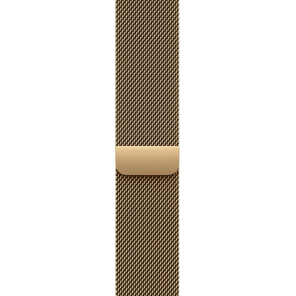 Apple Watch S12 42mm Gold Titanium