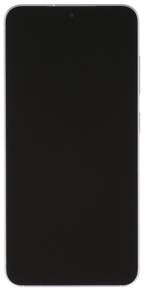 Samsung Galaxy S25 12/256Gb Icyblue